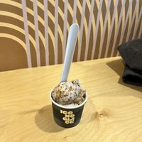 Scoop of S.Nikers  at Iconoglace in Montreal