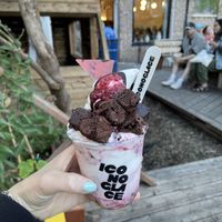   at Iconoglace in Montreal