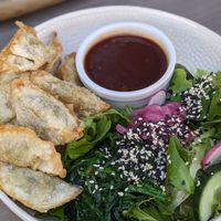 🥟 Lunch of the day - Gyoza (6,90€) at Kozy Eats  in Riga
