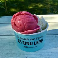 Delicious vegan ice cream! at Mikė ir Vanilė in Juodkrante