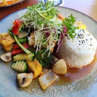 Tofu with veggies and rice at Hanoi Deli in Dresden