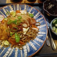 vegan duck at Miyako Ramen in Linz