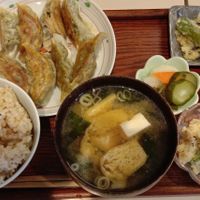 Vegetarian gyoza set at Gohan Miyachi Nou Nou in Tokyo