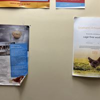 Posters on the back of the toilet door - I guess they have the right idea  at Dramanti Artisan Roaster in Wynnum