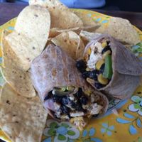 southwest wrap with tofu substituted for chicken at Field of Greens in West Palm Beach