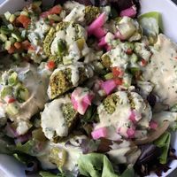 Habibi Bowl at Field of Greens in West Palm Beach