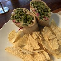 Falafel Wrap at Field of Greens in West Palm Beach