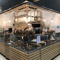  #Veganuary at Zrno Ra in Belgrade