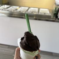   at Brown Dog Gelato in Rosarito