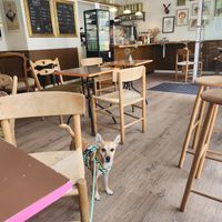  at Cafe Harepus in Aarhus