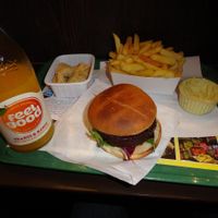 Vegan burger of the month, fries, vegan samossas and curry veganaise at Royal Frituur in Bruges