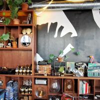 Decor at Lilith Coffee in Rotterdam