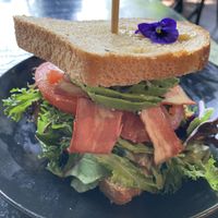   at Lilith Coffee in Rotterdam