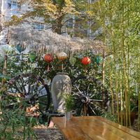 Outside at Ong Tao Vegan in Frankfurt