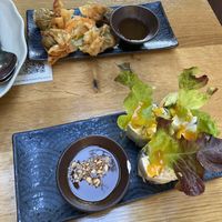 Dumplings mit Gemüse und Sommerrollen at Ong Tao Vegan in Frankfurt