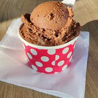 Vegan chocolate coconut at LUV Ice Cream in North St Paul