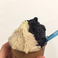 Vegan flavours  at Gelateria C'era una Volta in Pontedera