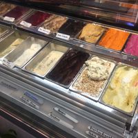 various vegan flavors  at Eissalon Olivier in Ludwigsburg