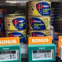 tunah at Albert Heijn in Amsterdam