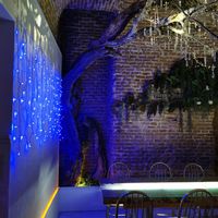 Decoración at Choose in Madrid