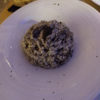 Risotto di funghi at Choose in Madrid