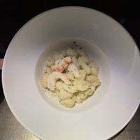 Gnocchi gorgonzola. Zucchini and  sea food  at Choose in Madrid