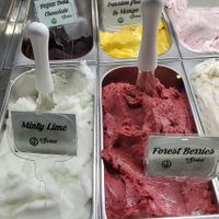 Vegan options at Amara Gelato in Midland