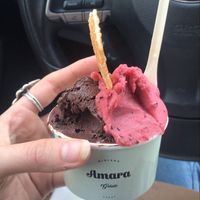 Vegan dark chocolate and berries sorbets at Amara Gelato in Midland