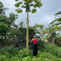  at Secret Garden in Mompiche