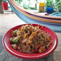 Vegan stir fry at Secret Garden in Mompiche