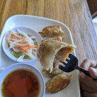 Pan fried vegan gyoza, jiazi 🤗 at Alam Green Lotus in Ubud