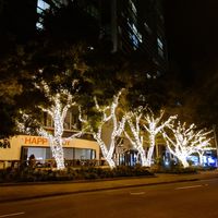 From the outside at Happy Boy  in Fortitude Valley