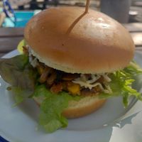 Vegan burger at The Running Duck in Geraldine