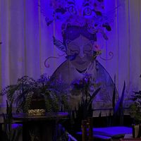 The vibe  at Indómitos Café & Bar in Uvita