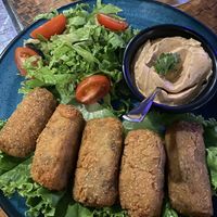 Croquetas de setas  at Indómitos Café & Bar in Uvita