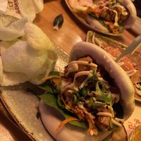   at The Bamboo Room in Hoorn