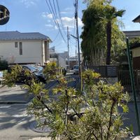 literally in the middle of this neighbourhood   at Universal Bakes and Cafe in Tokyo