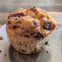 Chocolate raspberry muffin at Universal Bakes and Cafe in Tokyo