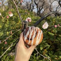   at Universal Bakes and Cafe in Tokyo