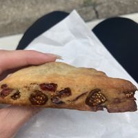 Fig and cranberry scone, delish!  at Universal Bakes and Cafe in Tokyo