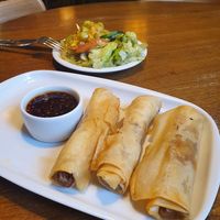 Vegan spring rolls and delicious free salads at Glonojad in Krakow