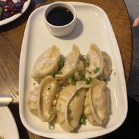 asian style dumplings   at Glonojad in Krakow