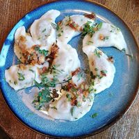 Filled dumplings at Glonojad in Krakow