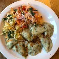 Vegan pierogis and salad at Glonojad in Krakow