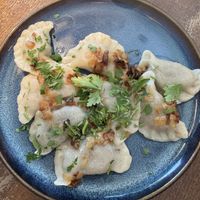 Dumplings   at Glonojad in Krakow