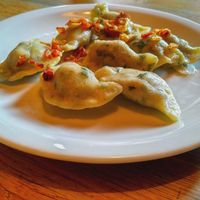 Vegan pierogi at Glonojad in Krakow