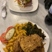 chicken sandwich and fries chicken platter at Nourish Philly in Philadelphia