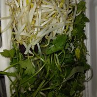 #Veganuary at Katze Vegan & Vegetarian  in Hanoi