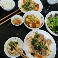 Full deliciousness (bowl of veggies is HUGE, but barely made the picture) 
veggies such as beansprouts, lettuce, herbs and other greens) at Katze Vegan & Vegetarian  in Hanoi