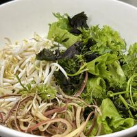 Lettuce, herbs, bean sprouts, banana flower  at Katze Vegan & Vegetarian  in Hanoi